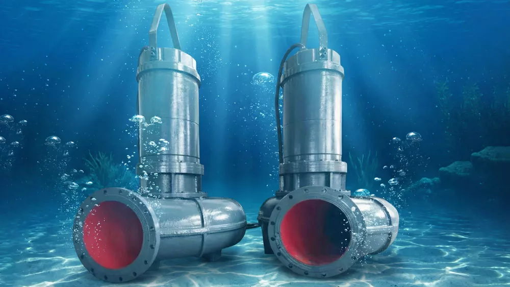 Суасты сорғы